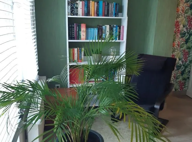 Our Lily House, Een Gezellig Familiehuis In Rustige Omgeving